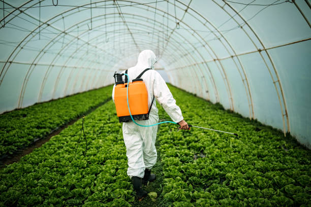 Best Best Pest Control Companies  in Fairfield University, CT