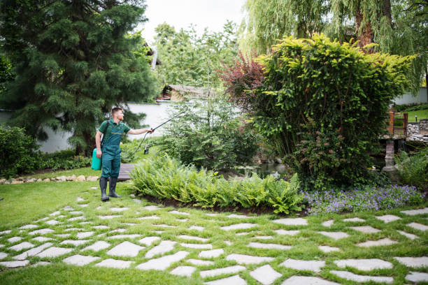 Best Affordable Pest Control Services  in Fairfield University, CT