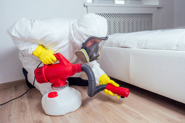 Best Termite Control Services  in Fairfield University, CT