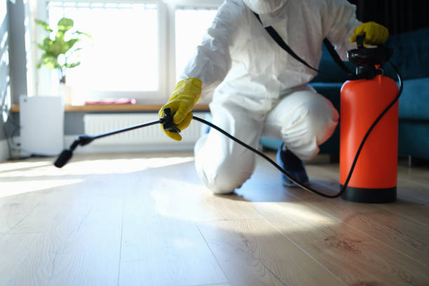 Professional Pest Control in Fairfield University, CT