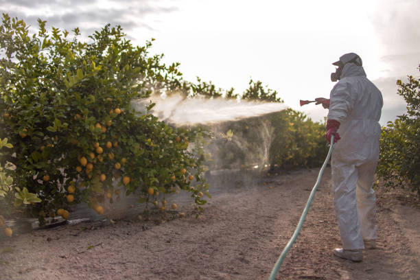 Best Pest Control Near Me  in Fairfield University, CT