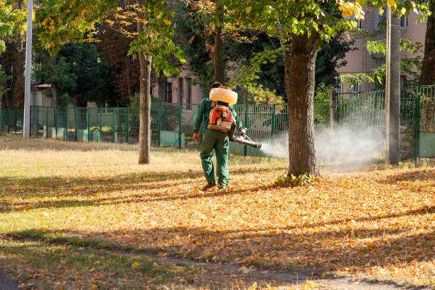 Best Bird Control  in Fairfield University, CT