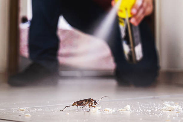 Best Pest Removal Services  in Fairfield University, CT