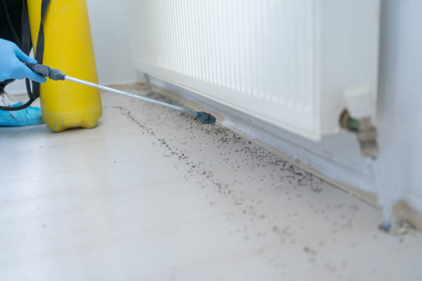 Best Pest Prevention Services  in Fairfield University, CT